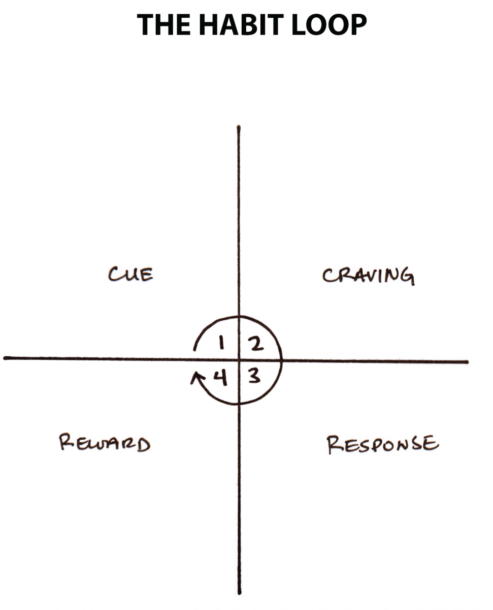 The four phases of habits, called the habit loop. Source: jamesclear.com