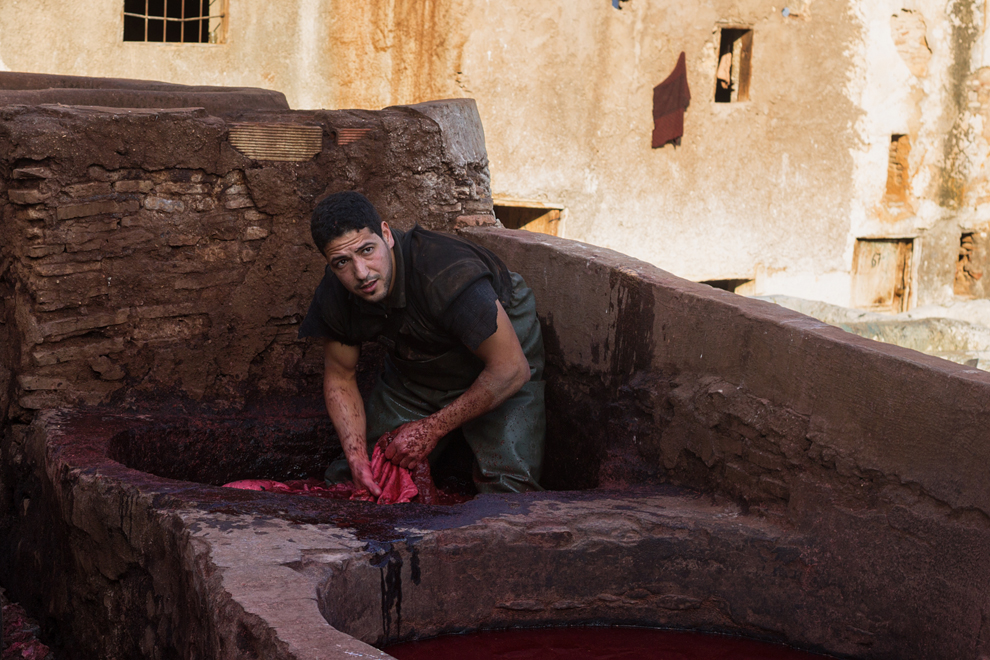 tannery fez morocco pictures