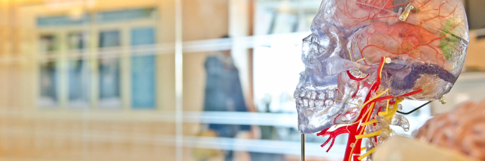 behavioral psychology brain