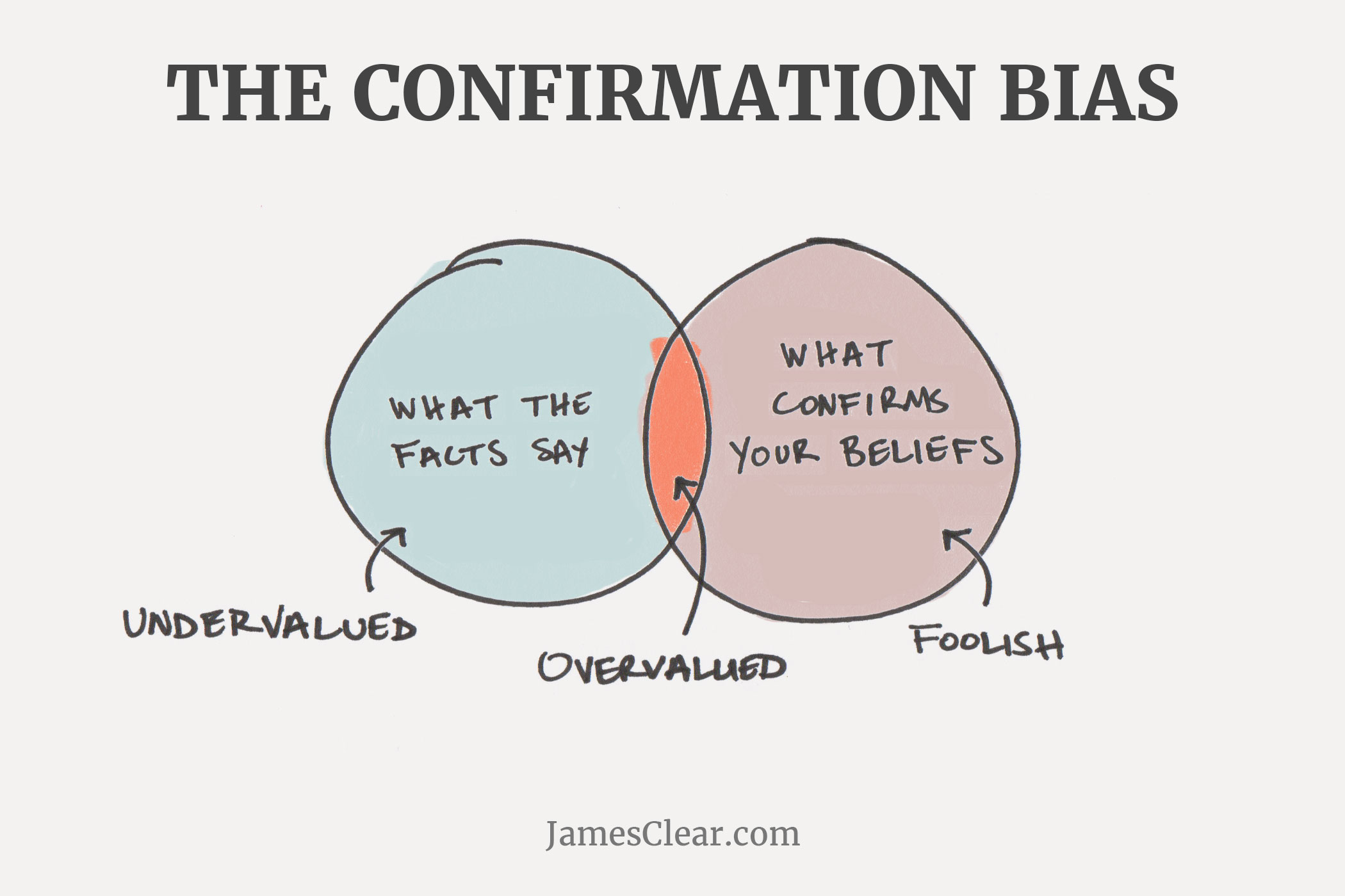 confirmation bias (Common Mental Errors)