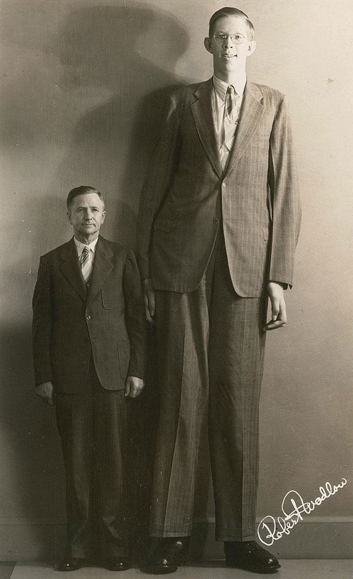 Robert Wadlow (Feedback Loops)