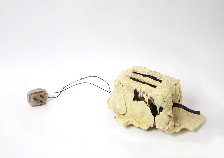 The Toaster Project by Thomas Thwaites (How Innovative Ideas Arise)